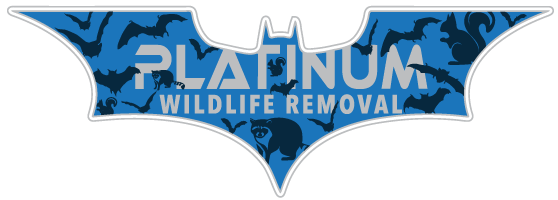 Lake County Animal Removal